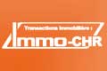 immobilier-chr immobilier caf htel restaurant