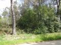 Terrain a vendre