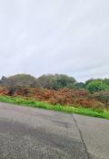 Terrain a vendre