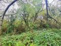 Terrain a vendre