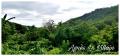 Terrain a vendre