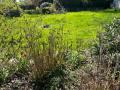 Terrain a vendre