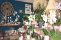 Local / entrept a vendre