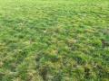 Terrain a vendre