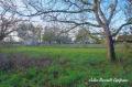 Terrain a vendre