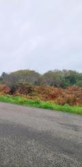 Terrain a vendre