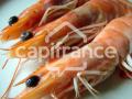 Poissonnerie a vendre