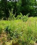Terrain a vendre