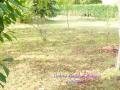 Terrain a vendre