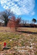Terrain a vendre