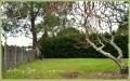 Terrain a vendre