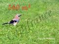 Terrain a vendre