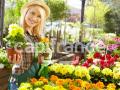 Fleuriste a vendre