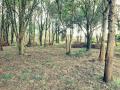 Terrain a vendre