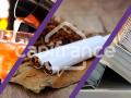 Caf / Tabac a vendre