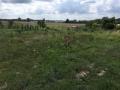 Terrain a vendre