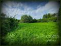 Terrain a vendre