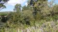 Terrain a vendre