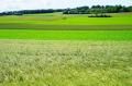 Terrain a vendre