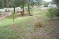 Terrain a vendre