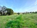 Terrain a vendre