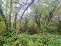 Terrain a vendre