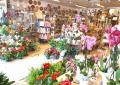 Fleuriste a vendre