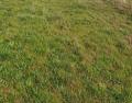 Terrain a vendre