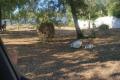 Terrain a vendre