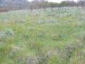 Terrain a vendre