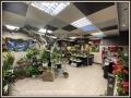 Fleuriste a vendre