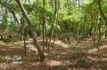 Terrain a vendre