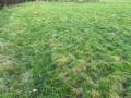 Terrain a vendre