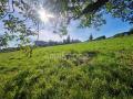 Terrain a vendre