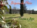 Terrain a vendre