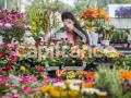 Fleuriste a vendre