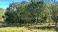 Terrain a vendre