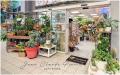 Fleuriste a vendre