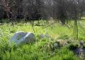 Terrain a vendre