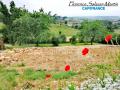 Terrain a vendre