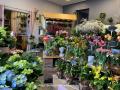 Local / entrept a vendre