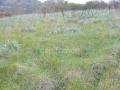 Terrain a vendre