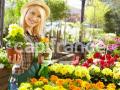 Fleuriste a vendre