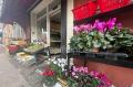 Epicerie a vendre