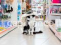 Bien d'entreprise ou commerce (professionnels) a vendre