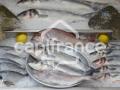 Poissonnerie a vendre