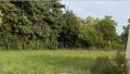 Terrain a vendre