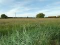 Terrain a vendre