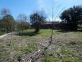 Terrain a vendre