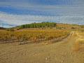 Terrain a vendre